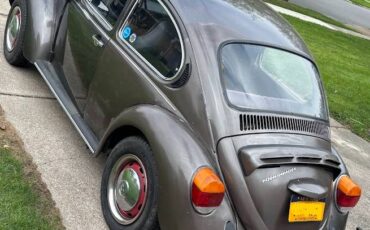 Volkswagen-Super-beetle-vw-1974-brown-3