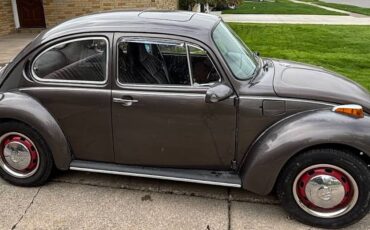 Volkswagen-Super-beetle-vw-1974-brown