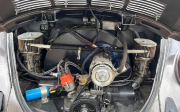 Volkswagen-Super-beetle-vw-1974-brown-4