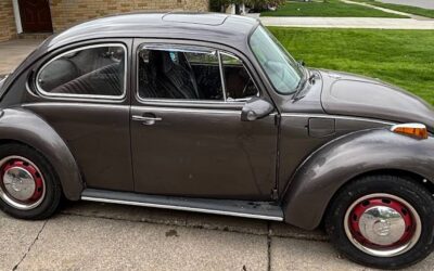 Volkswagen Super beetle vw  1974 brown