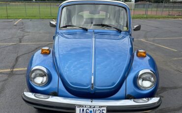 Volkswagen-Superbeetle-1978-blue-4