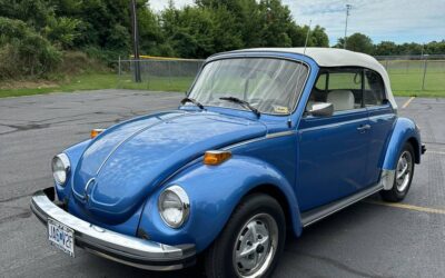 Volkswagen Superbeetle  1978 blue