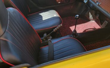 Volkswagen-Thing-1973-7