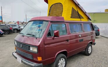 Volkswagen-Vanagon-camper-1987-purple-22