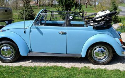 Volkswagen Vw  1968 blue