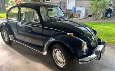 Volkswagen-Vw-1969-11