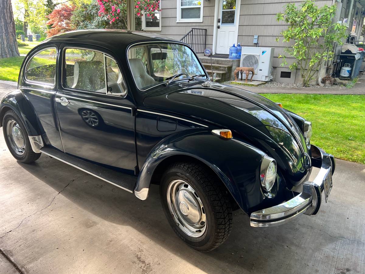 Volkswagen-Vw-1969-11