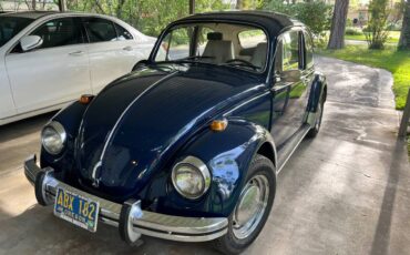 Volkswagen-Vw-1969