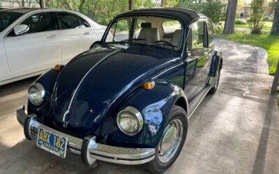 Volkswagen Vw  1969