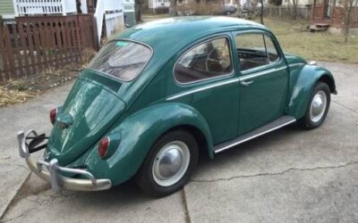 Volkswagen Vw beetle  1965 green