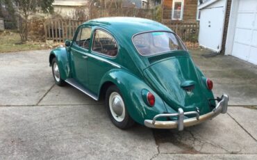 Volkswagen-Vw-beetle-1965-green-5