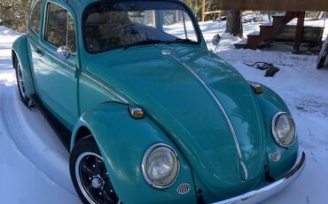 Volkswagen-Vw-beetle-1966-1