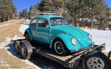 Volkswagen-Vw-beetle-1966-10