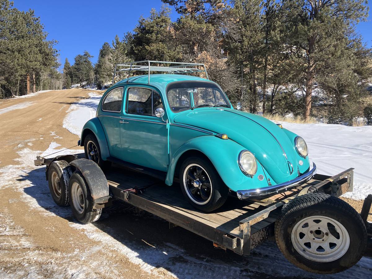 Volkswagen-Vw-beetle-1966-10
