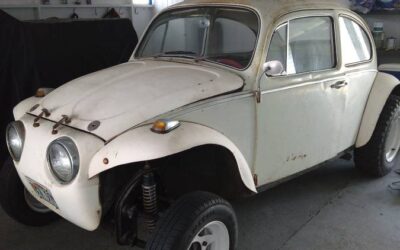 Volkswagen Vw beetle  1966