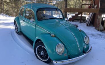 Volkswagen-Vw-beetle-1966-3