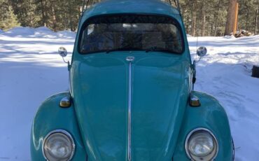 Volkswagen-Vw-beetle-1966