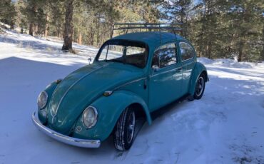 Volkswagen-Vw-beetle-1966-4