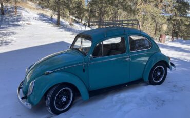 Volkswagen-Vw-beetle-1966-5