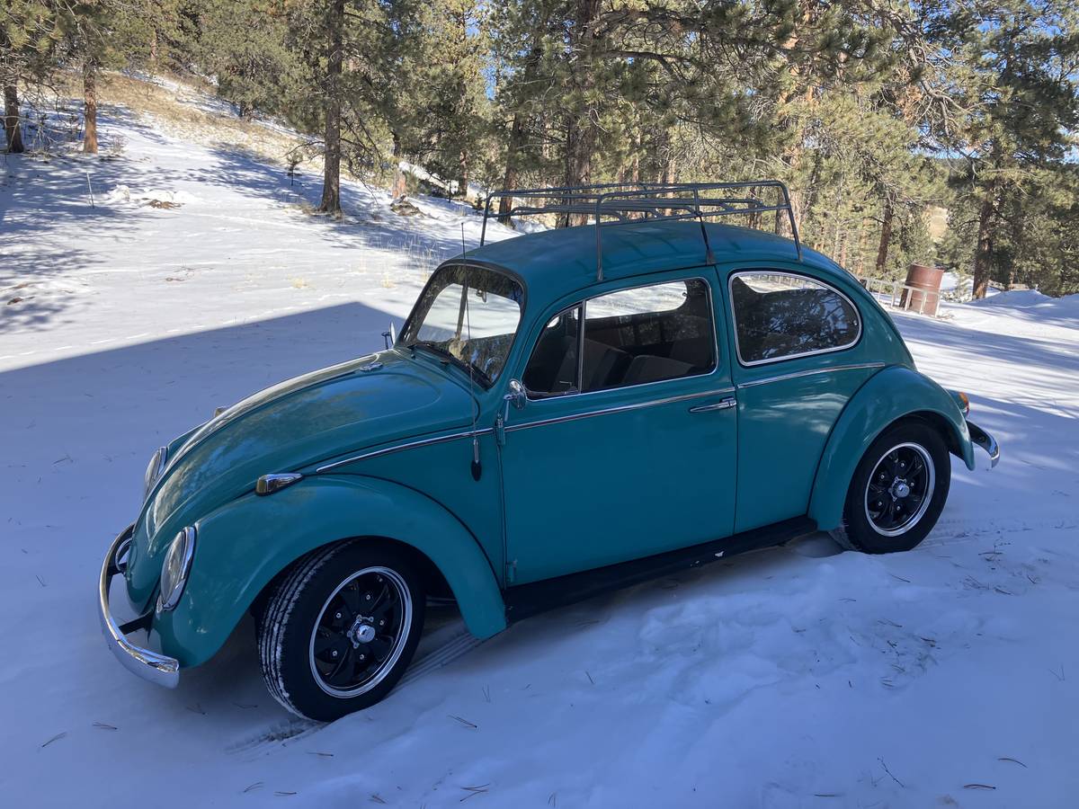 Volkswagen-Vw-beetle-1966-5