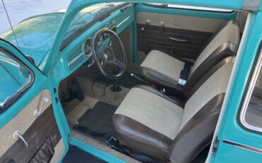 Volkswagen-Vw-beetle-1966-9