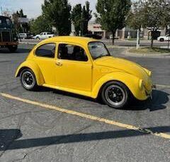 Volkswagen-Vw-beetle-1973-1