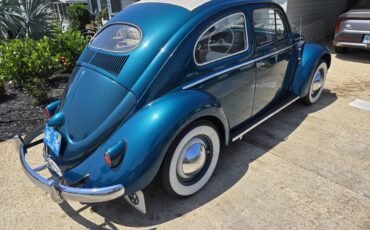 Volkswagen-Vw-bettle-3-fold-rag-top-1955-2