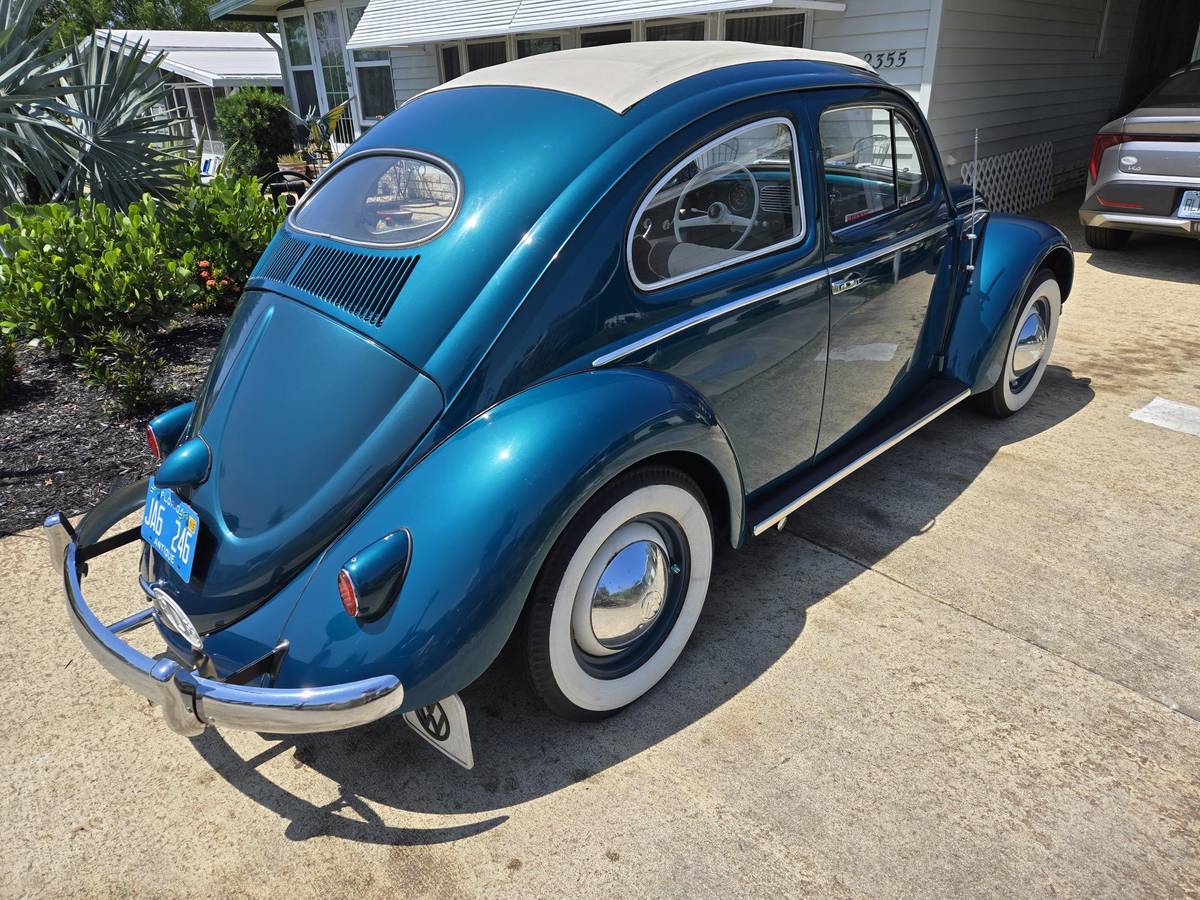 Volkswagen-Vw-bettle-3-fold-rag-top-1955-2