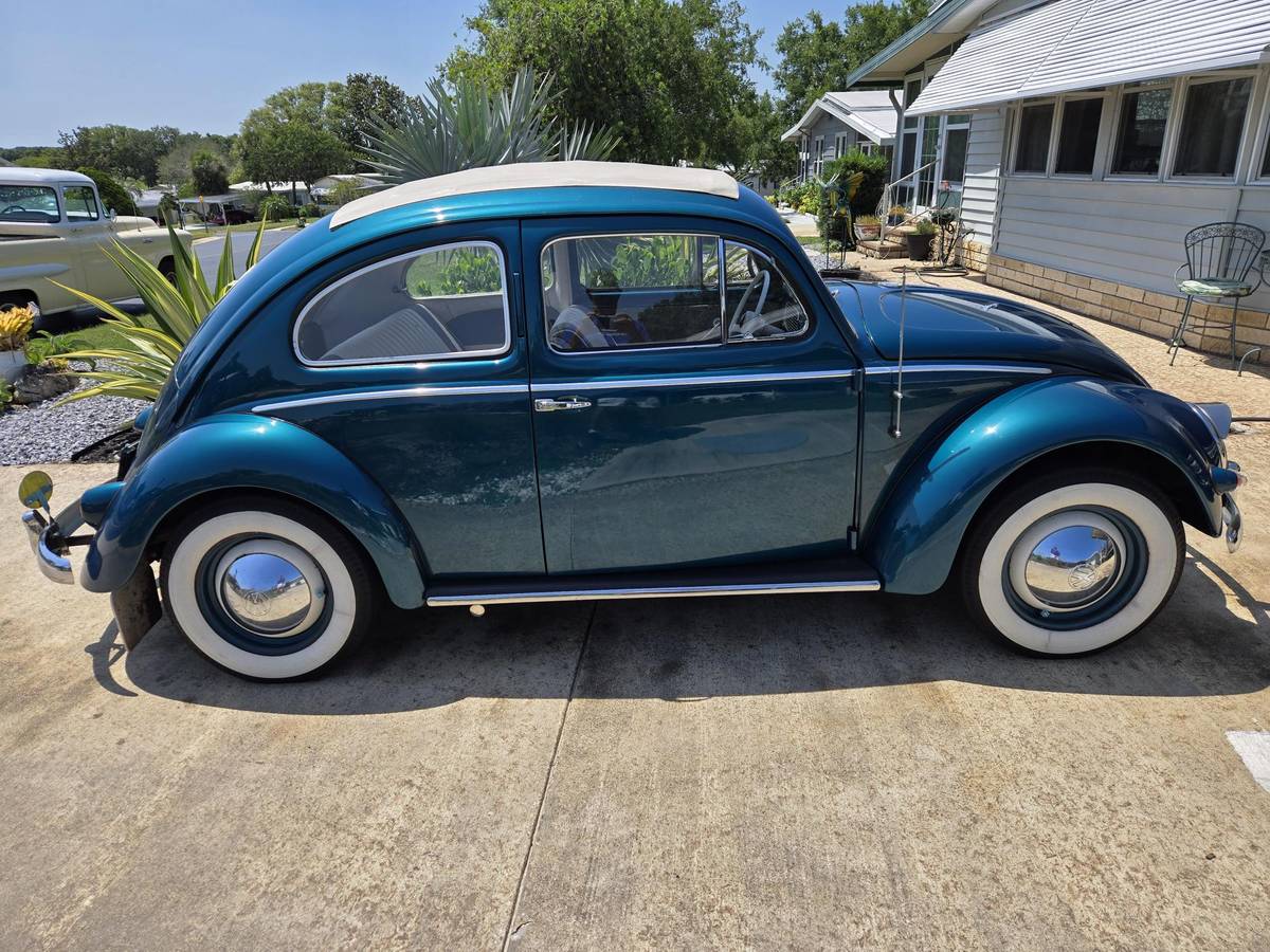 Volkswagen-Vw-bettle-3-fold-rag-top-1955-4