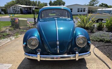 Volkswagen-Vw-bettle-3-fold-rag-top-1955-5