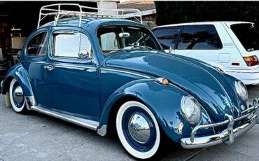 Volkswagen-Vw-bug-1964-2
