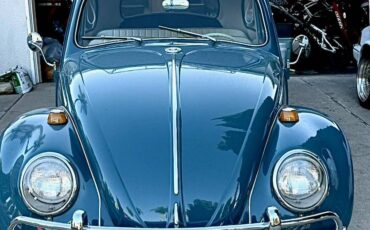 Volkswagen-Vw-bug-1964-4