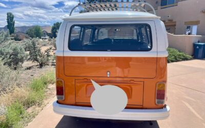 Volkswagen Vw bus 1973
