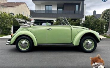 Volkswagen-bug-convertible-1968-Convertible-10
