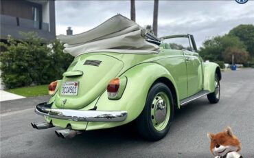 Volkswagen-bug-convertible-1968-Convertible-16