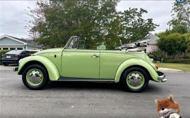 Volkswagen-bug-convertible-1968-Convertible-17