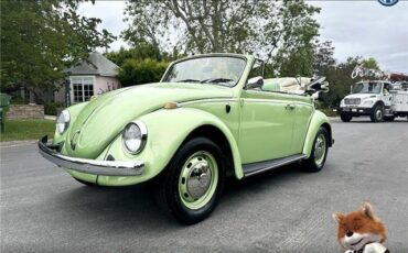 Volkswagen-bug-convertible-1968-Convertible-4