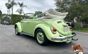 Volkswagen-bug-convertible-1968-Convertible-5