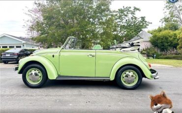 Volkswagen-bug-convertible-1968-Convertible-7