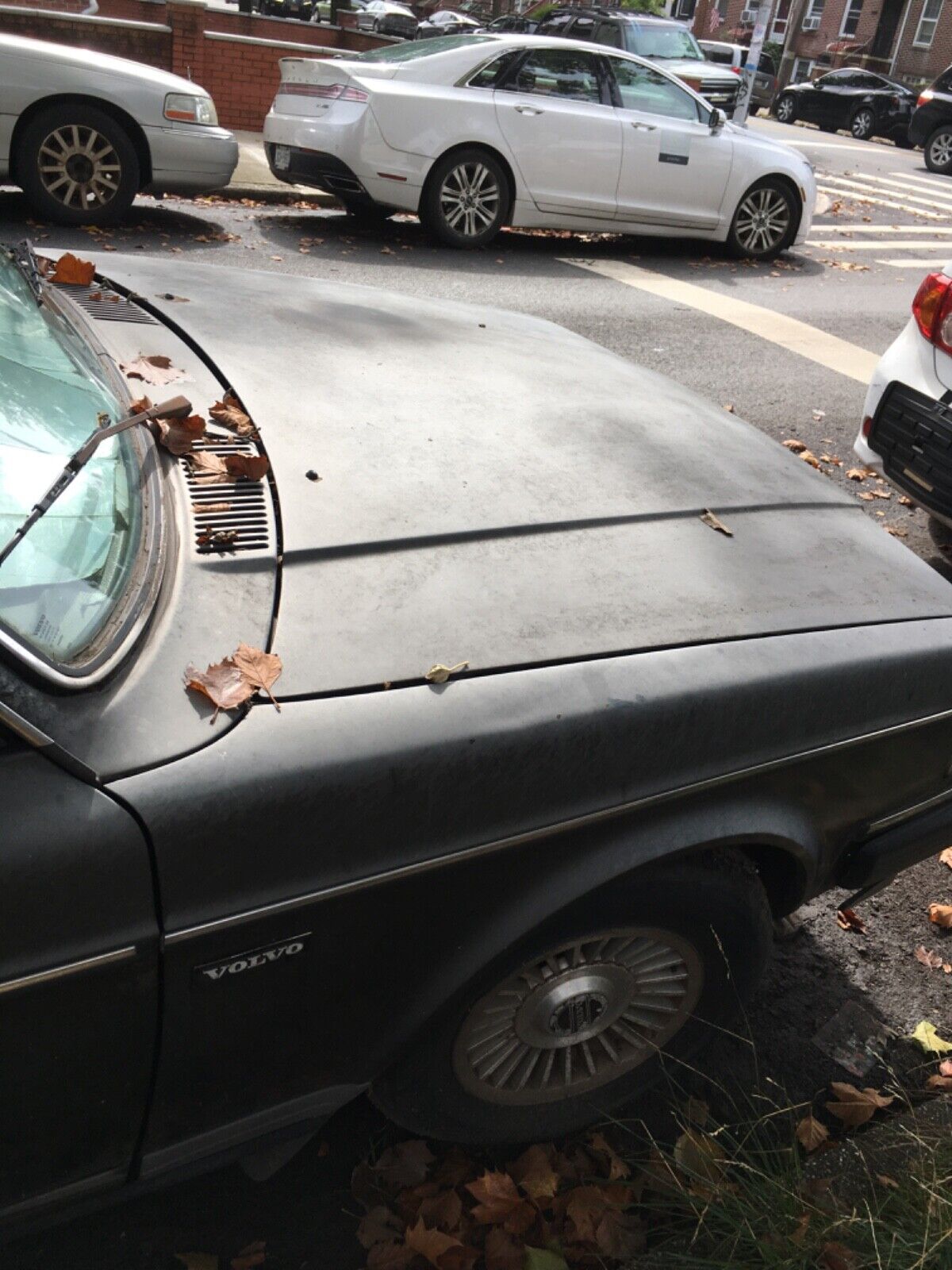 Volvo-240-1986-Wagon-16