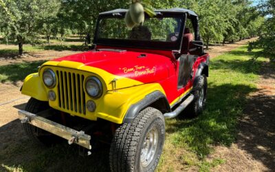 Willys CJ5 1962 Convertible
