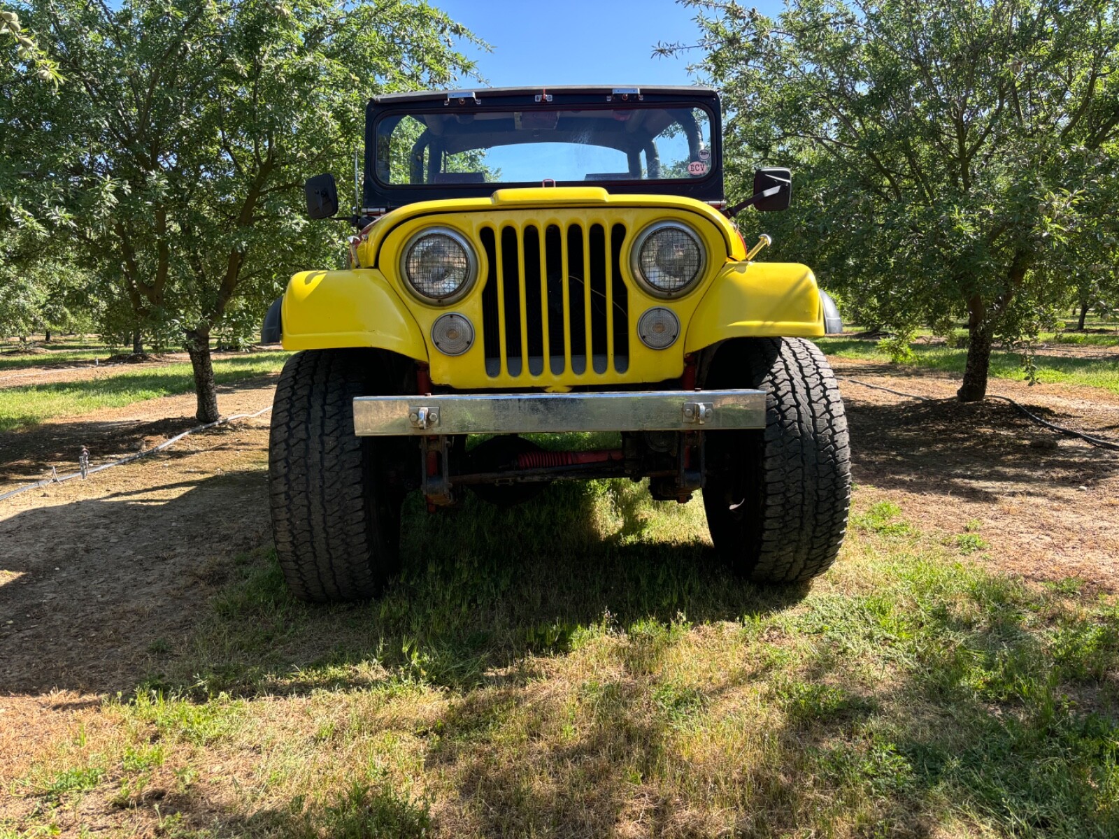 Willys-CJ5-1962-Convertible-5