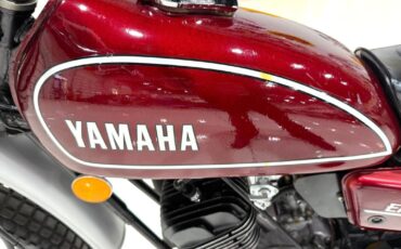 Yamaha-DT-125-Enduro-1974-dual_sport-30