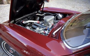 goodtimers-Chevrolet-Corvette-1967-4