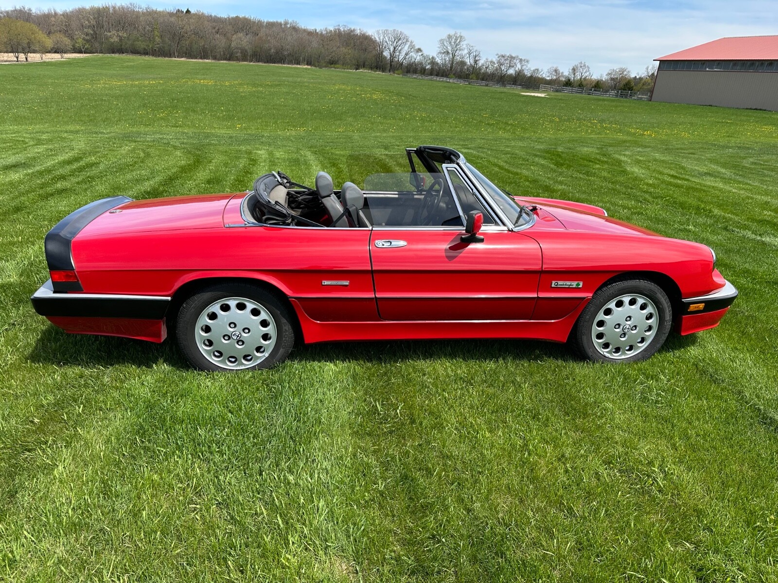 Alfa-Romeo-Other-1986-Convertible-2