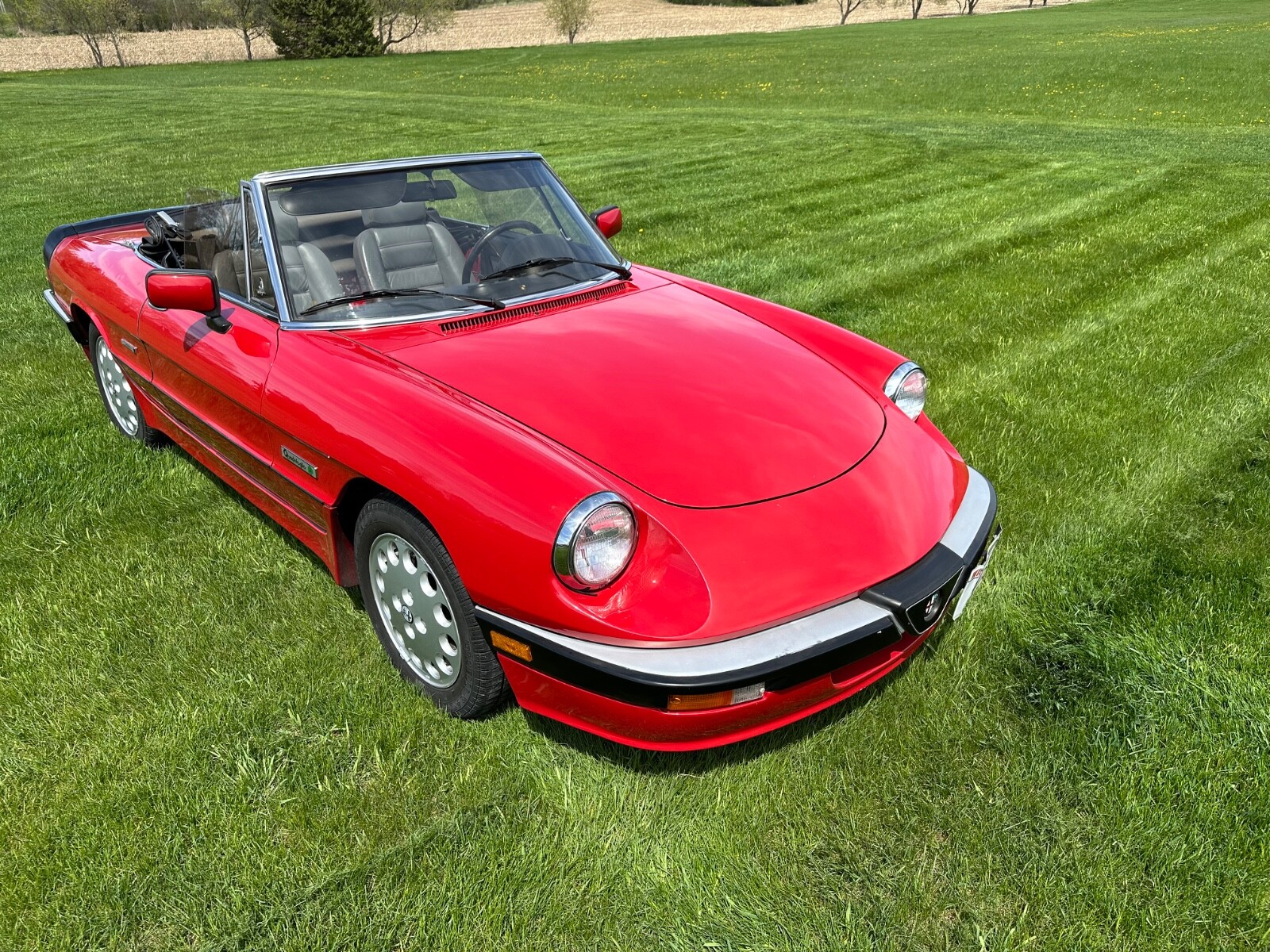 Alfa-Romeo-Other-1986-Convertible