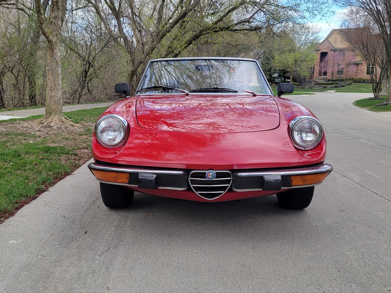 Alfa-Romeo-Spider-1974-Convertible-11
