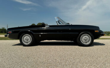 Alfa-Romeo-Spider-1976-Convertible-11