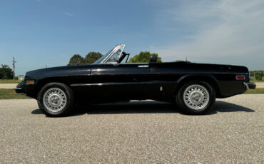 Alfa-Romeo-Spider-1976-Convertible-12