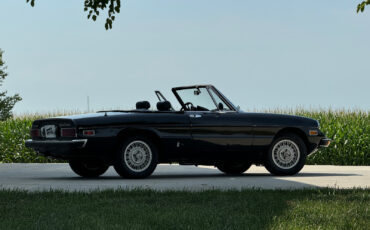 Alfa-Romeo-Spider-1976-Convertible-16